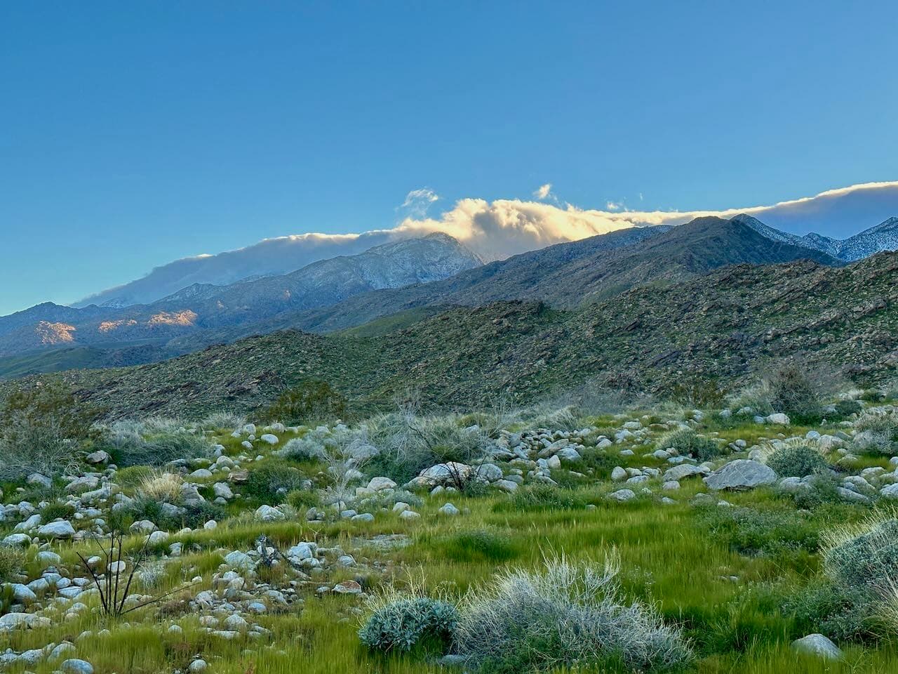 A rare green canyon after excessive precipitation.