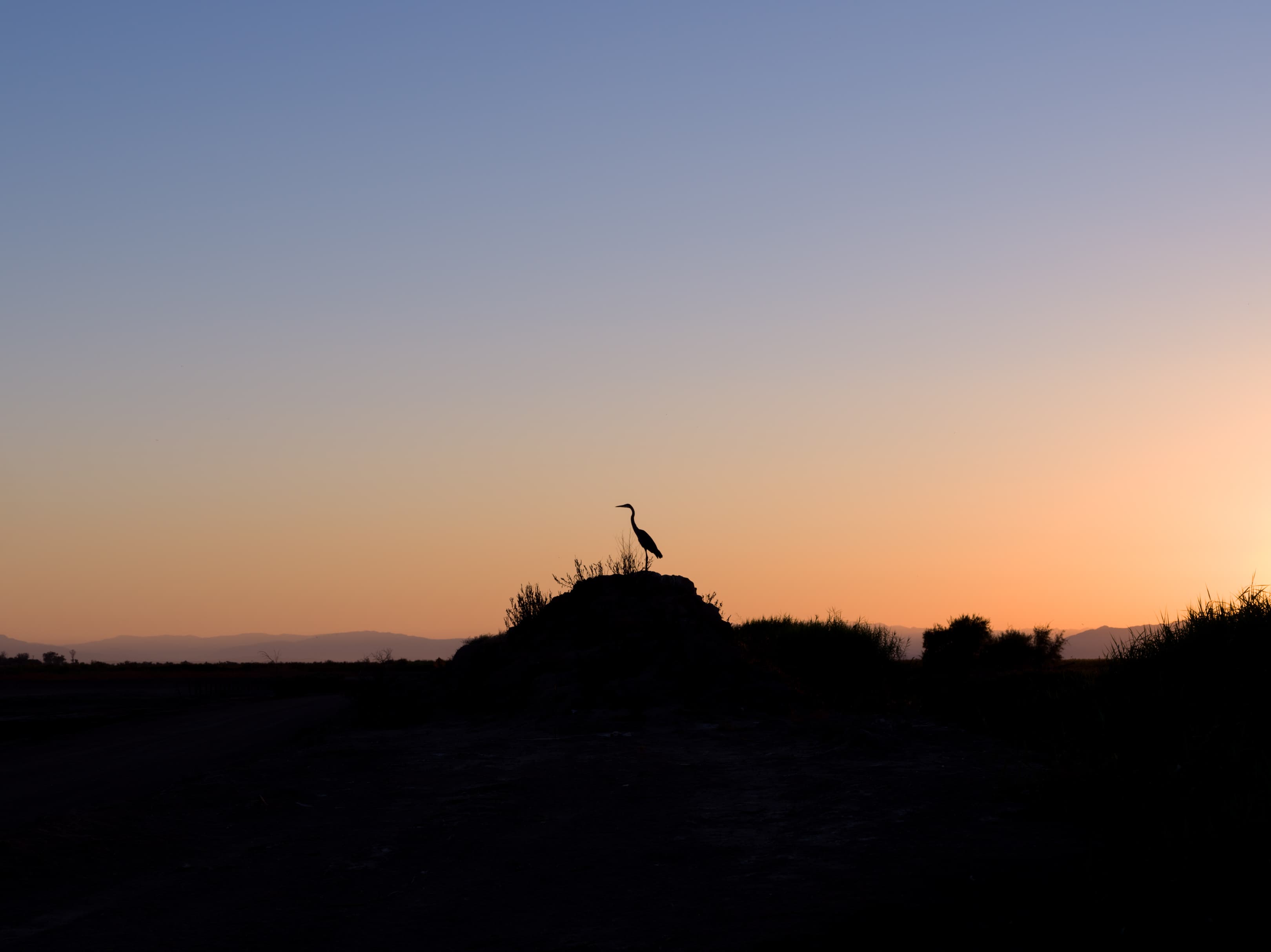 A brief look a the Salton Sea.