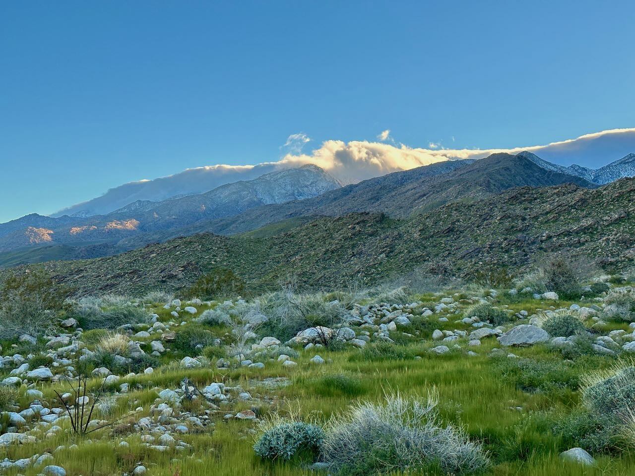 A rare green canyon after excessive precipitation.