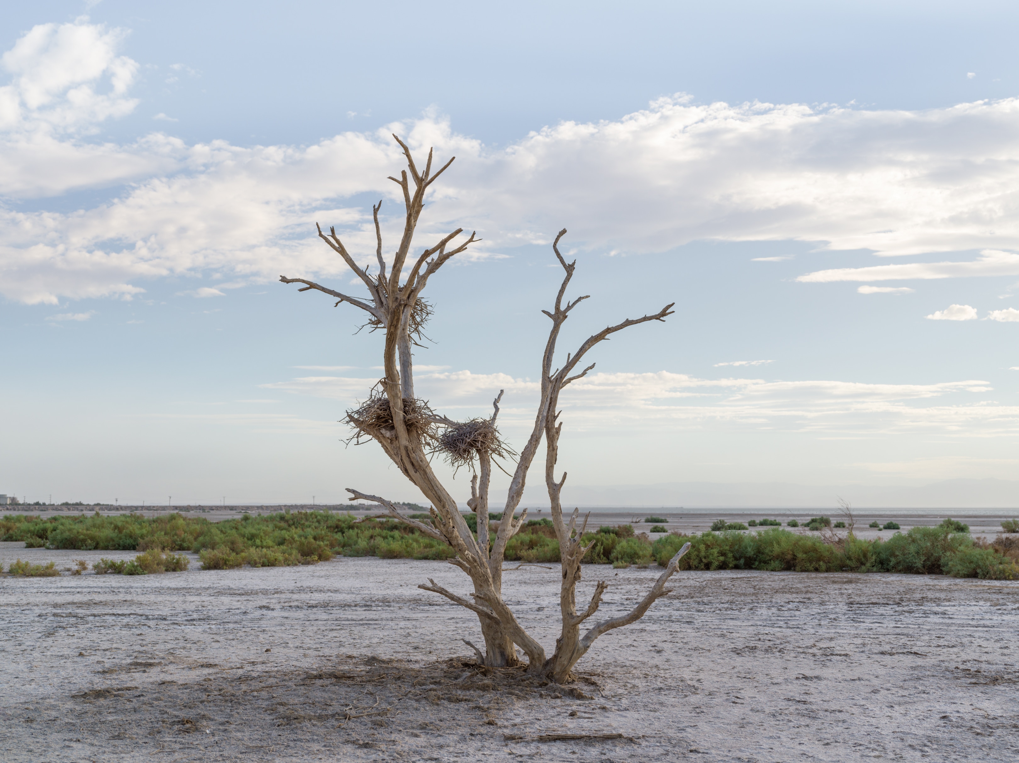 A brief look a the Salton Sea.